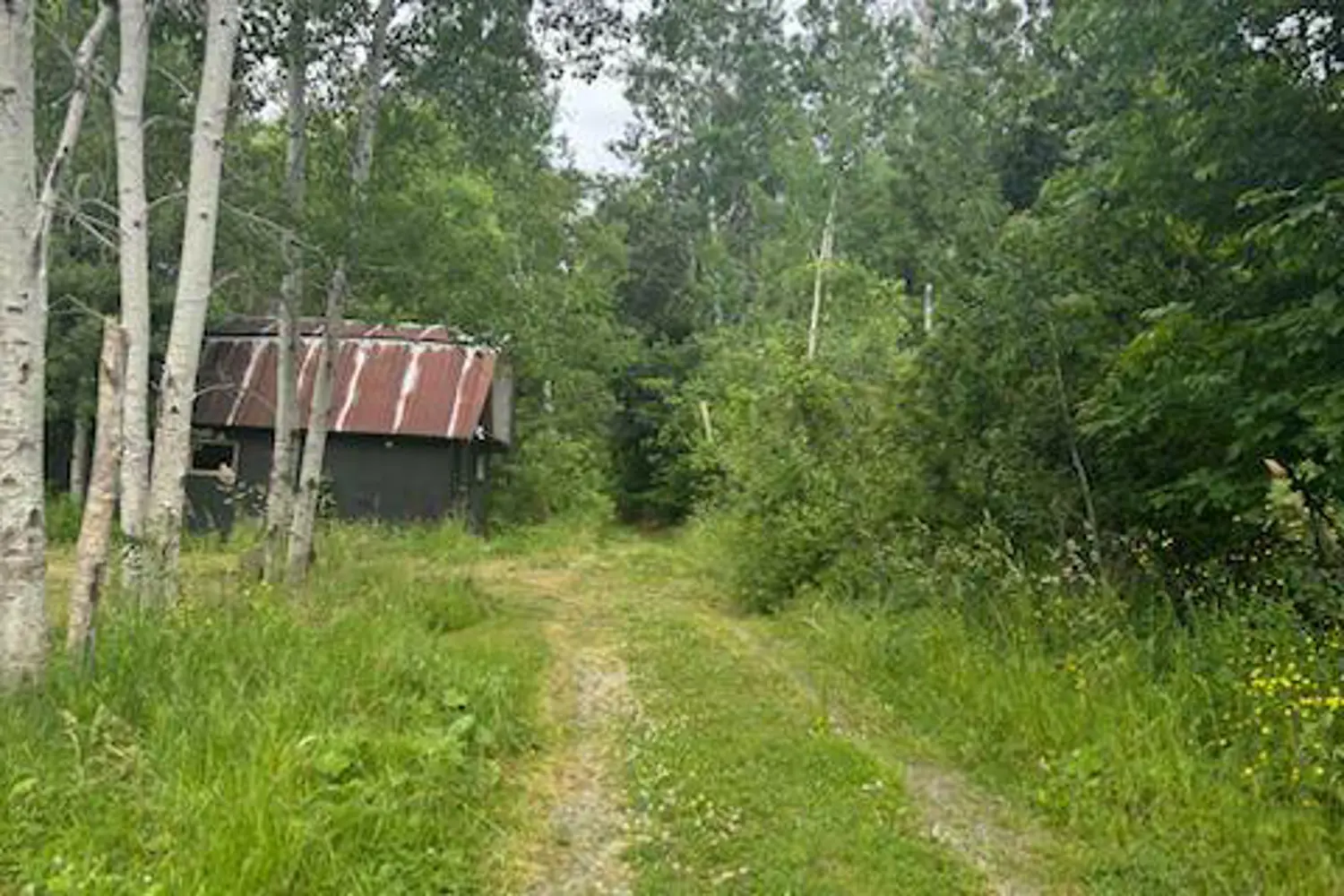 Additional image 5 of 16469 7Th Concession Road