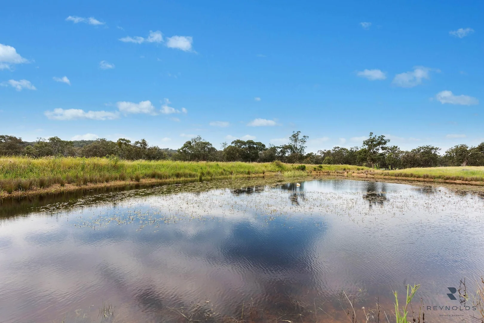 Additional image 16 of 476 Botobolar Road, Mudgee NSW 2850