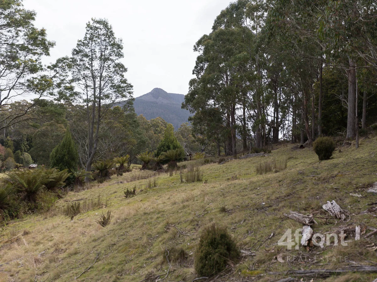 Additional image 30 of 1 and 2/141 Tiers View Road, Golden Valley TAS 7304