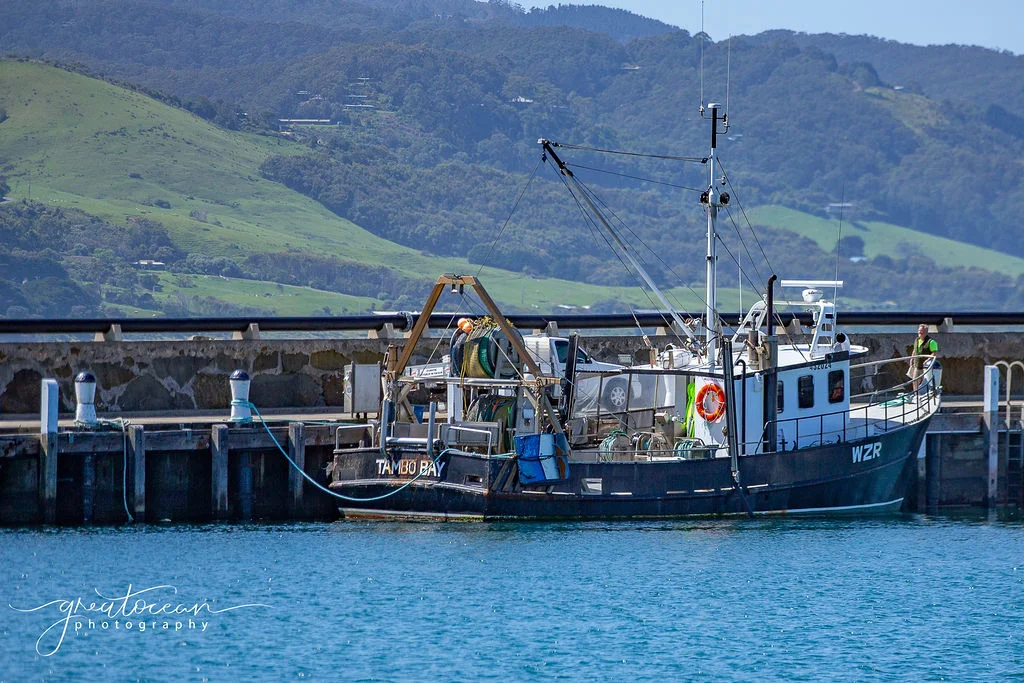 Additional image 6 of 46 Cawood Street, Apollo Bay VIC 3233