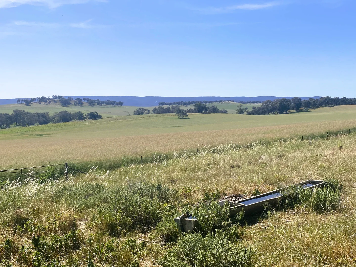 Additional image 2 of 1 Tremains Lane, Toogong NSW 2864