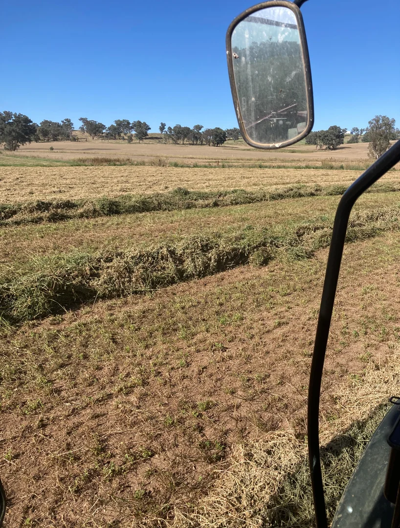 Additional image 6 of 2350 George Russell Drive, Canowindra NSW 2804