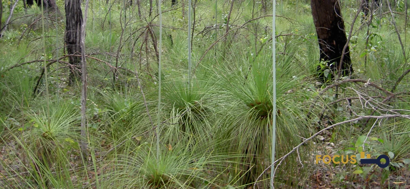 Additional image 10 of 285 Cape Palmerston Rd, Ilbilbie QLD 4738