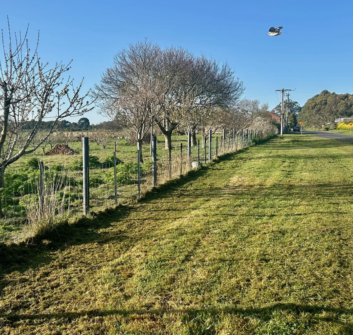 Additional image 4 of 703A James Lane, Trentham East VIC 3458