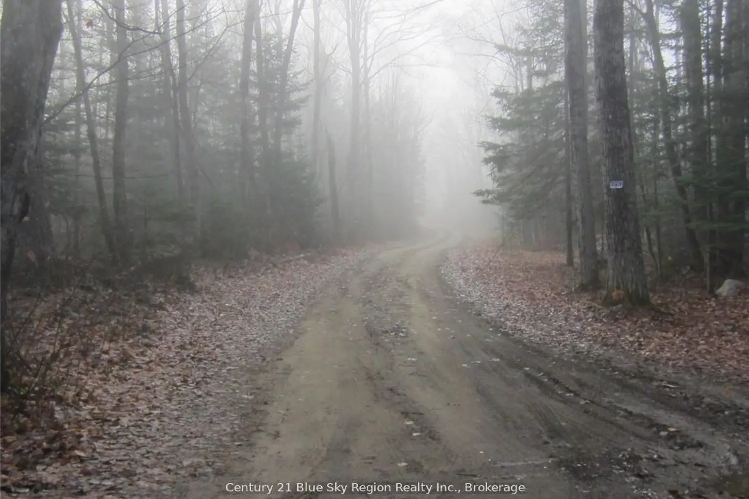 Additional image 8 of Lot 28 Concession 11