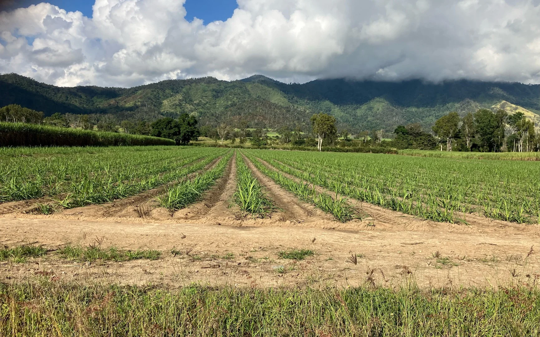 Additional image 30 of Finch Hatton QLD 4756