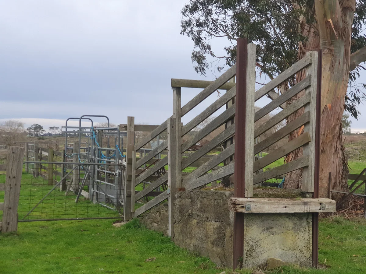 Additional image 6 of 546 Koallah Pomborneit Road, Koallah VIC 3260