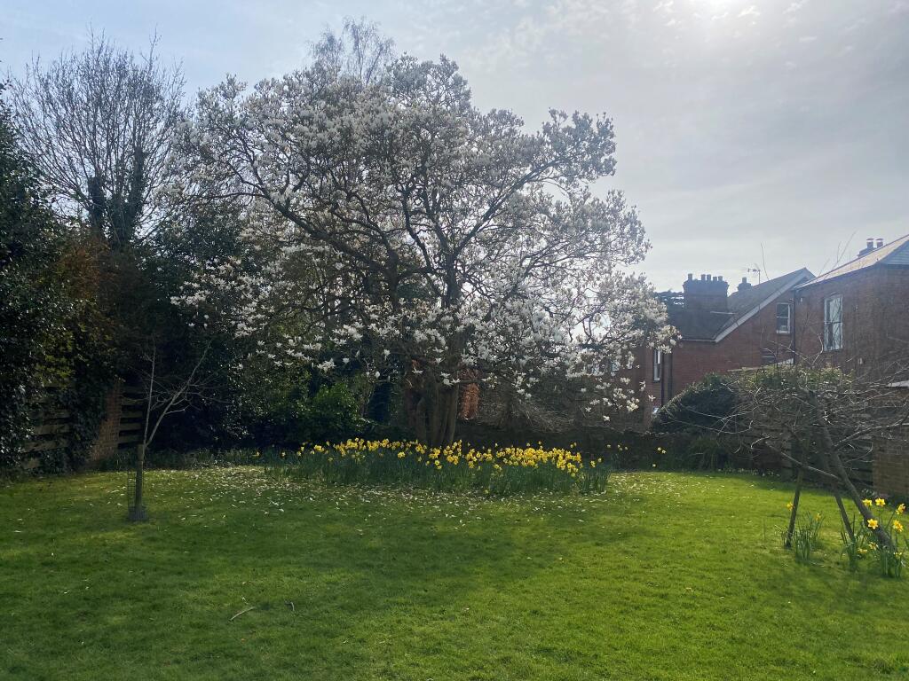 Additional image 21 of Althorp Road, St Albans, AL1