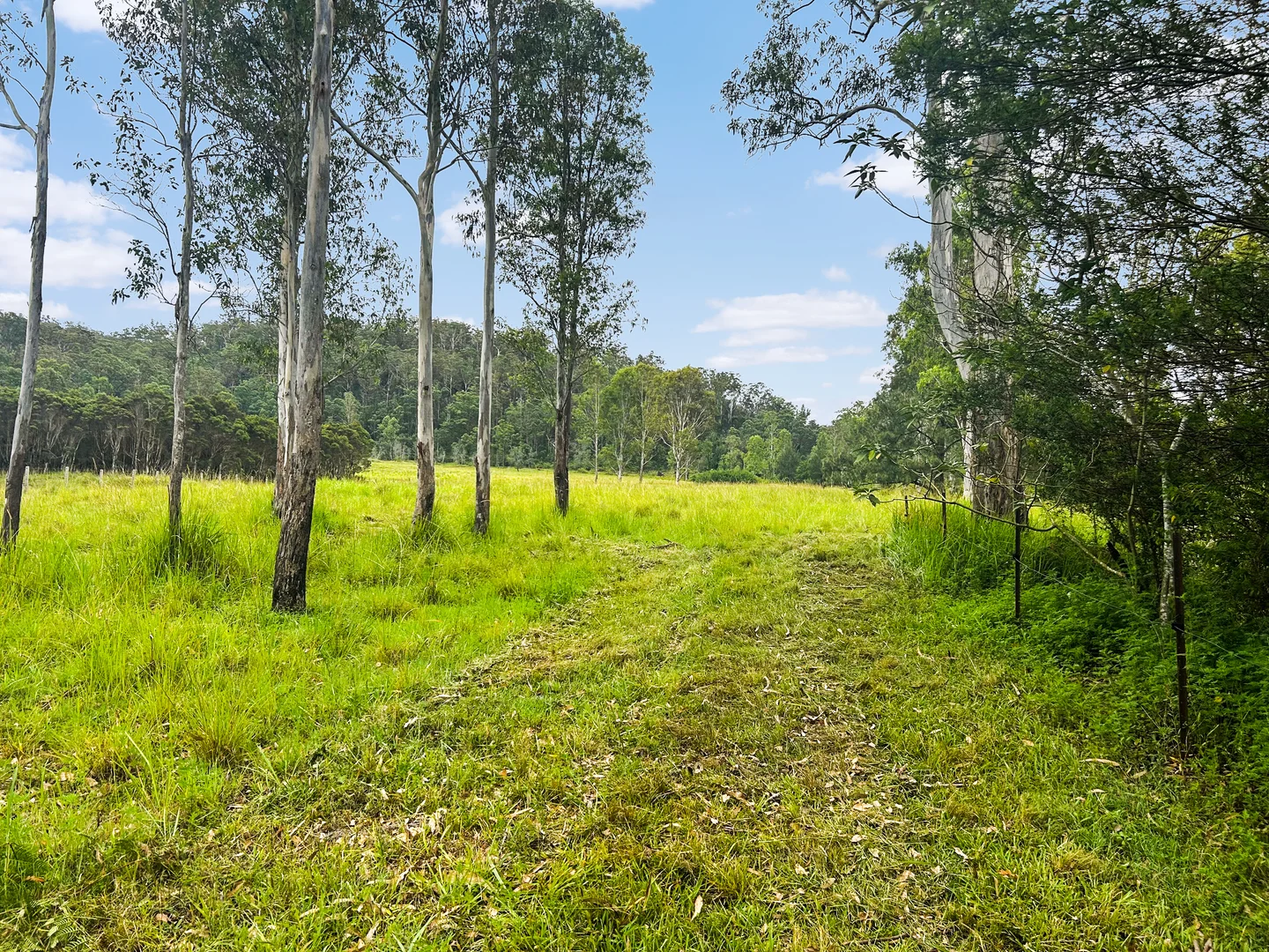Additional image 3 of Lot 12 Busbys Flat Road, Busbys Flat NSW 2469