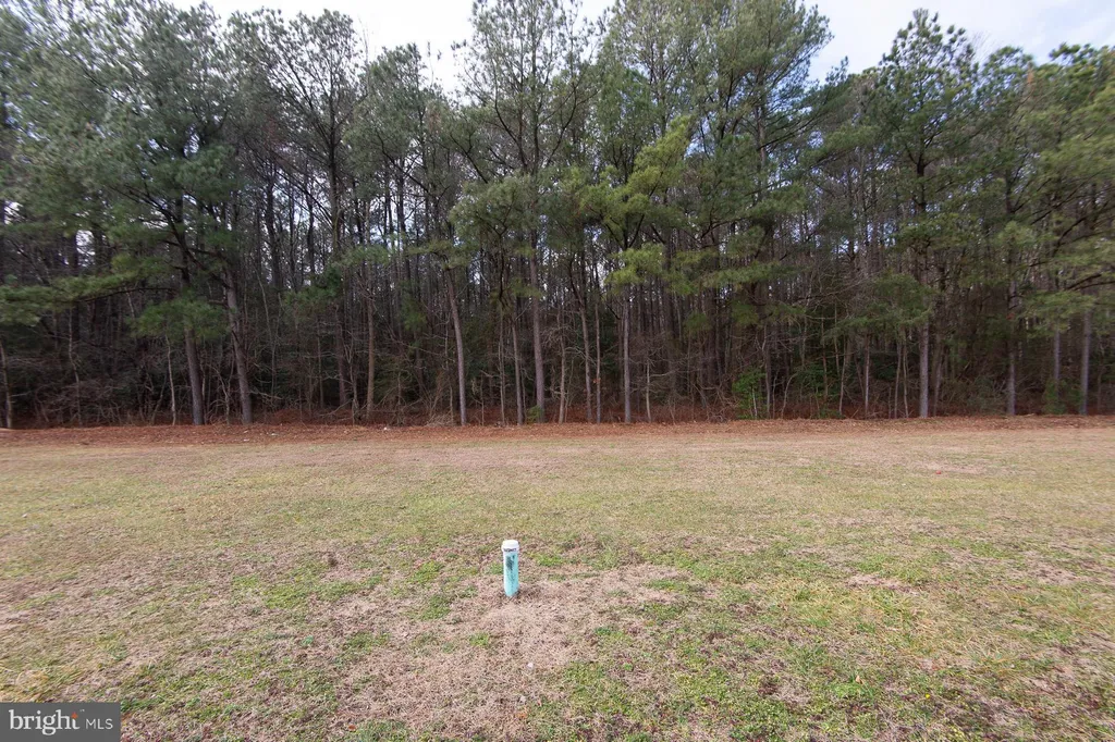 Additional image 29 of 460 Long Branch Road Unit 45819, Seaford, DE 19973