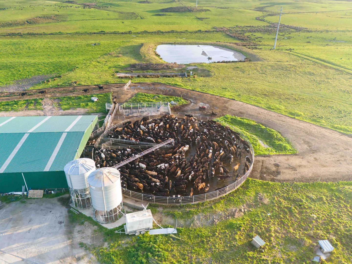 Additional image 12 of Rushy Lagoon TAS 7264