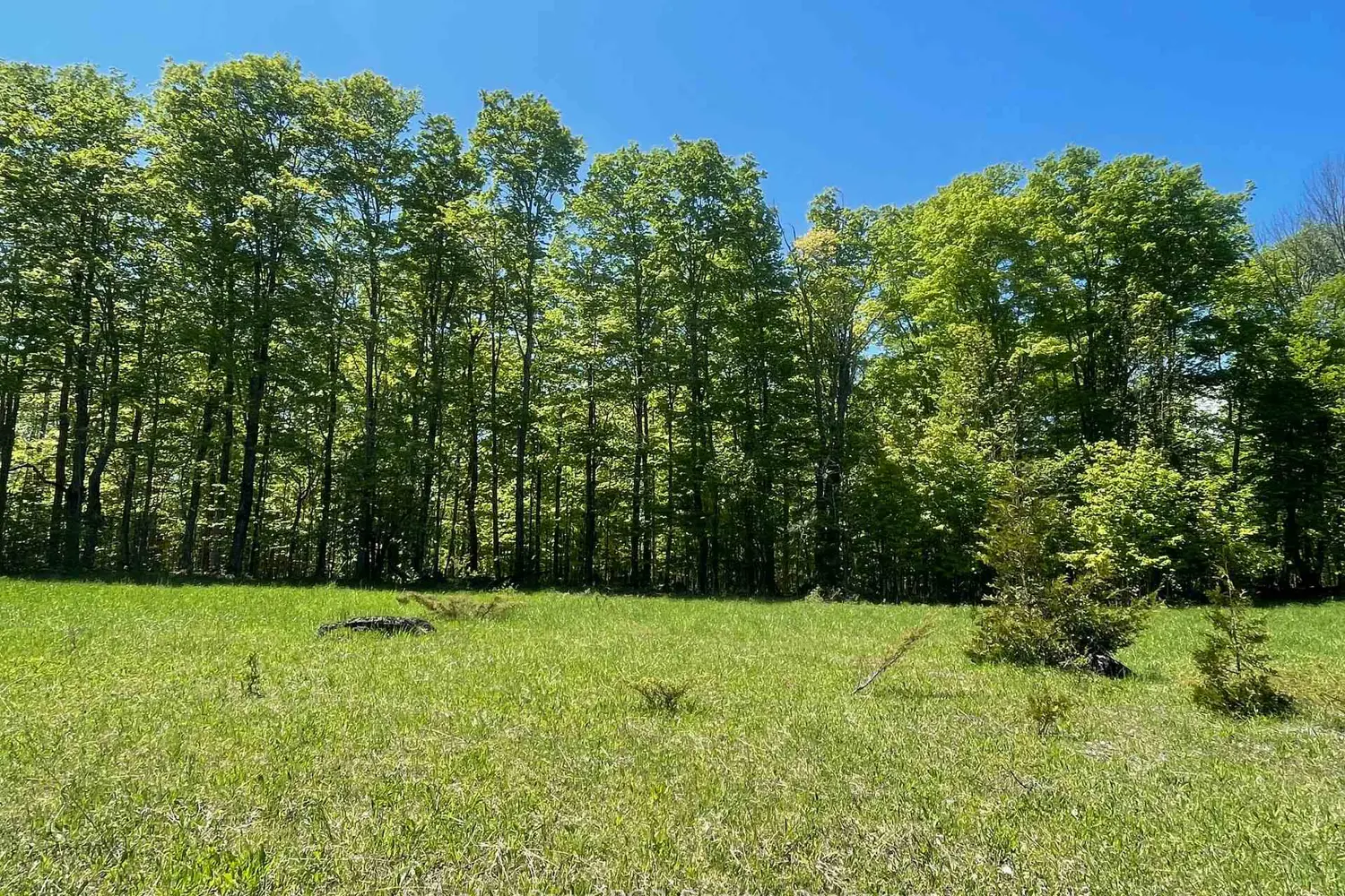 Additional image 16 of N/A Sunny Valley Road