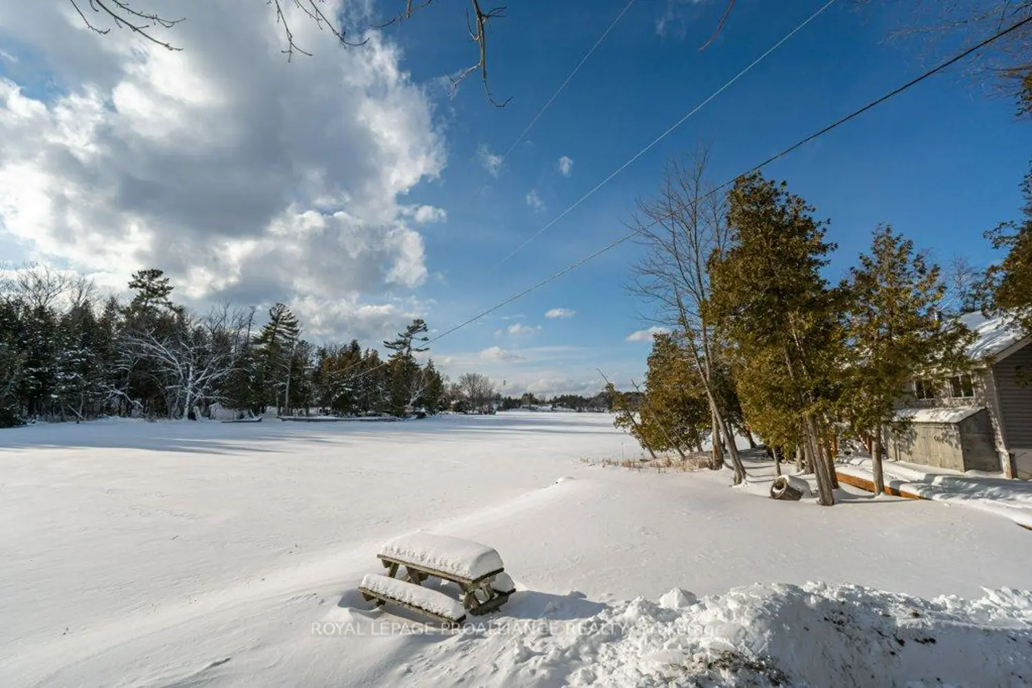 Additional image 12 of 24A&24B Cypress Lane