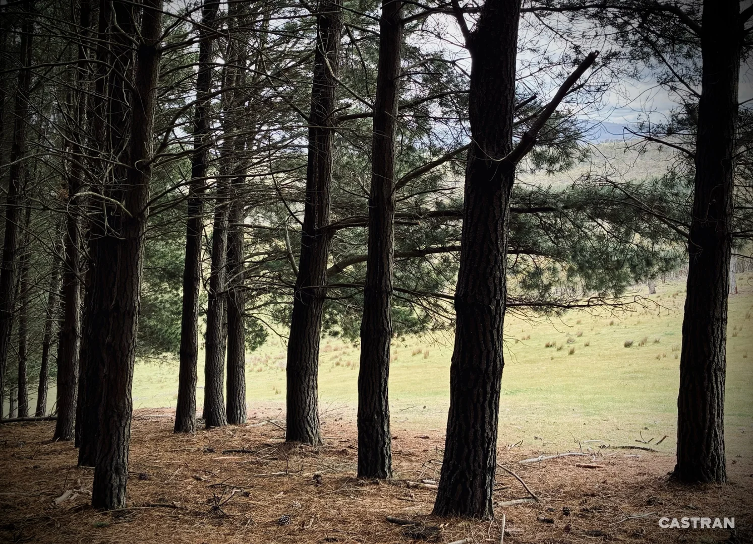 Additional image 8 of 200 Leonard Drive, Omeo VIC 3898