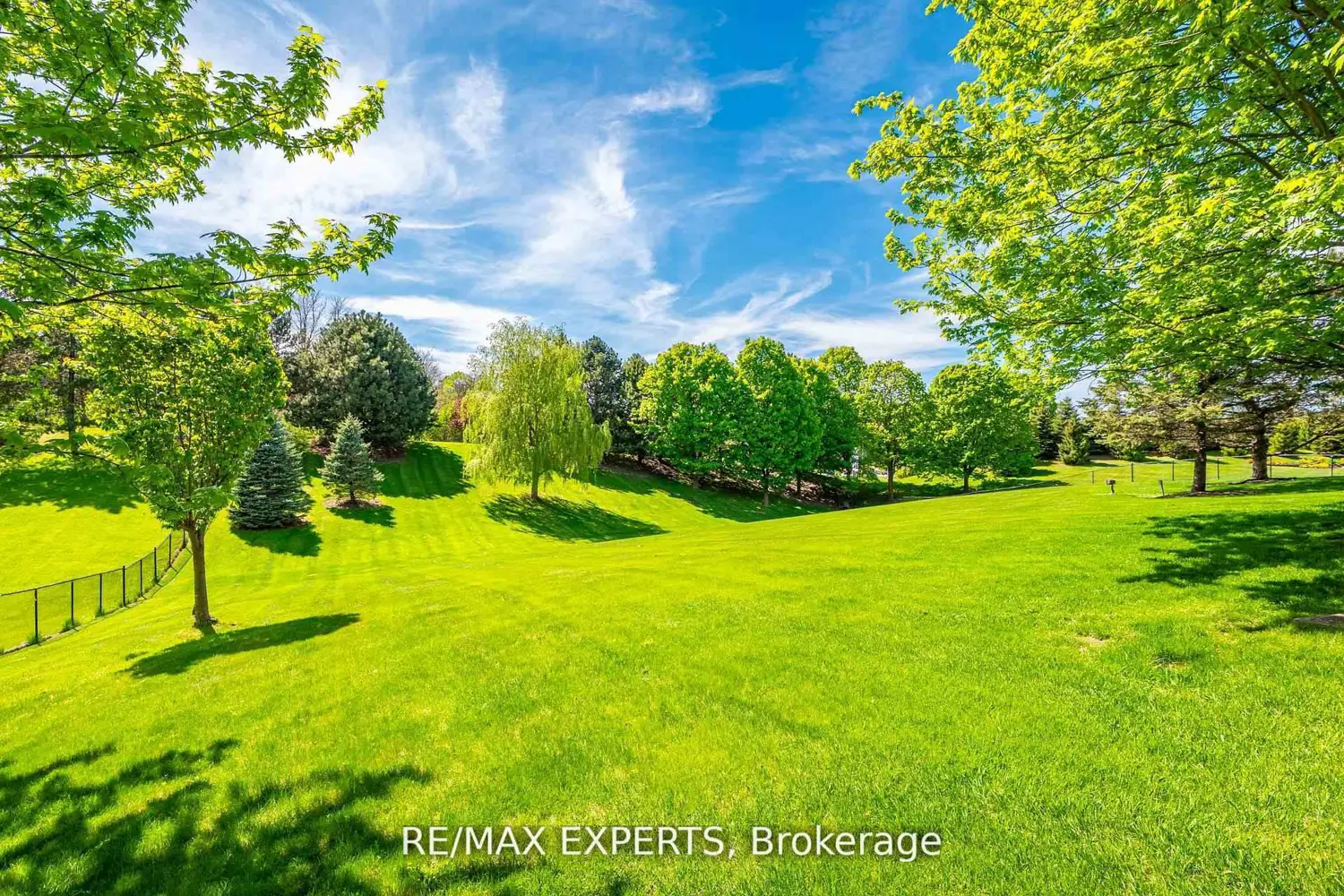 Additional image 20 of 8 Alm Court