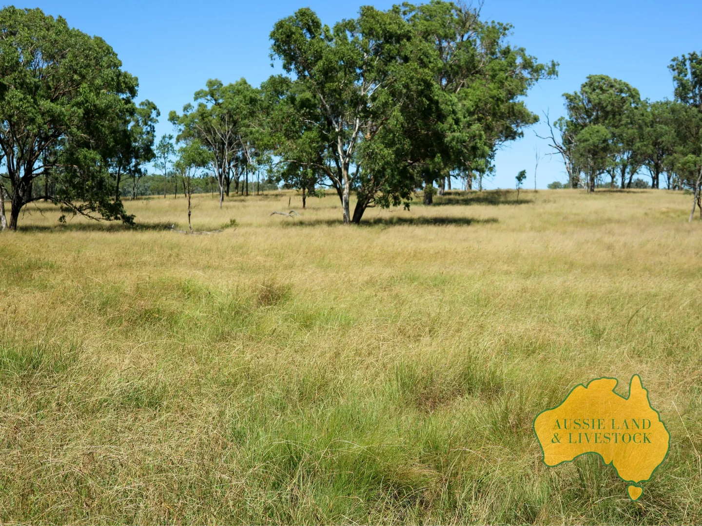 Additional image 10 of 629 Stuart Valley Drive, Haly Creek QLD 4610