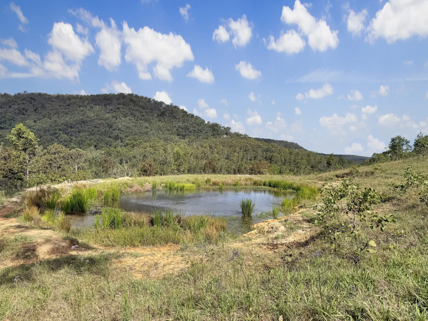 Additional image 6 of Lot 6 Paynes Crossing Rd, Paynes Crossing NSW 2325