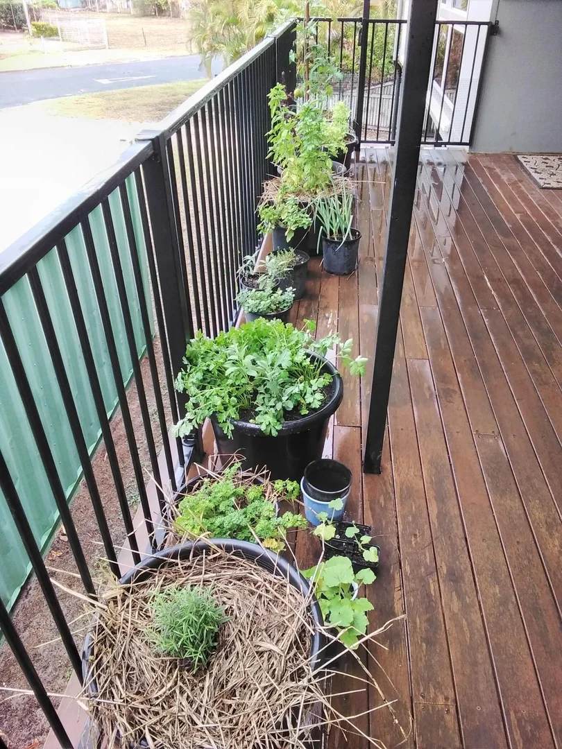 Additional image 11 of 7 Jamieson Street, Cardwell QLD 4849