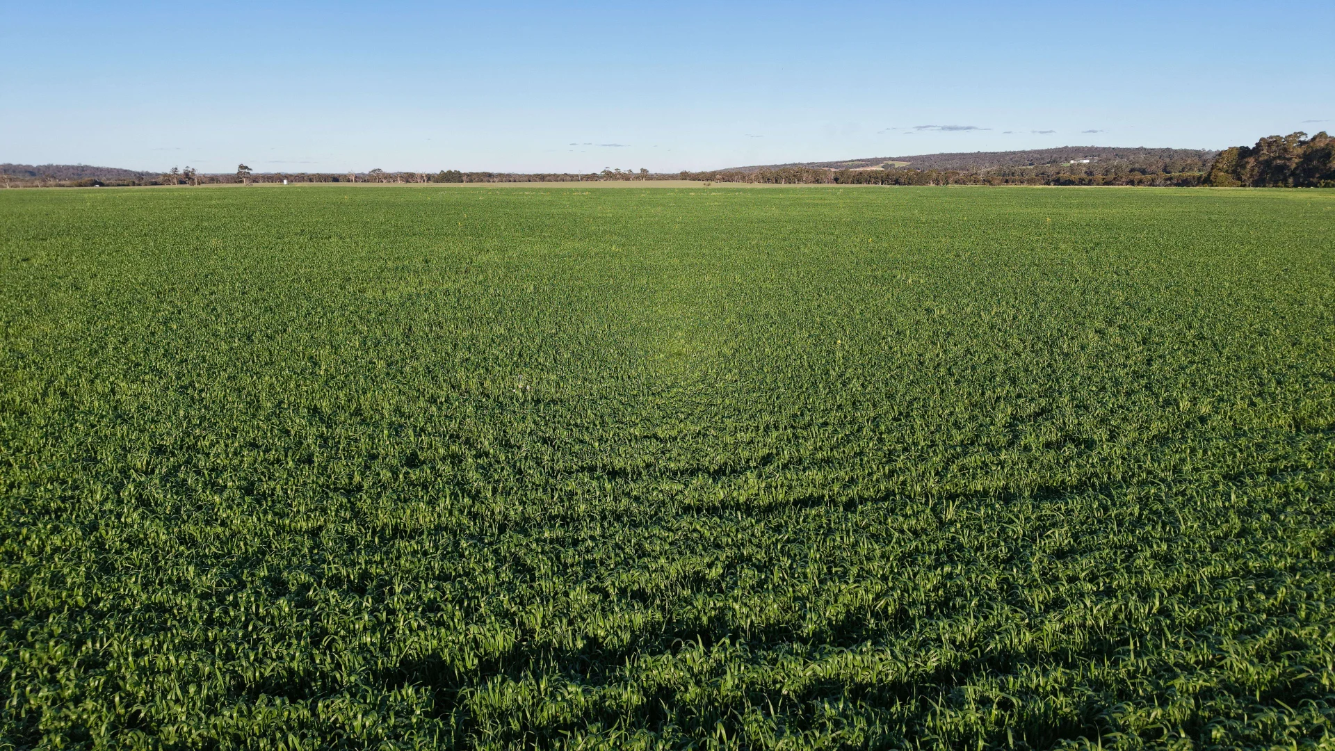 Additional image 18 of 491 Knight Road, Porongurup WA 6324