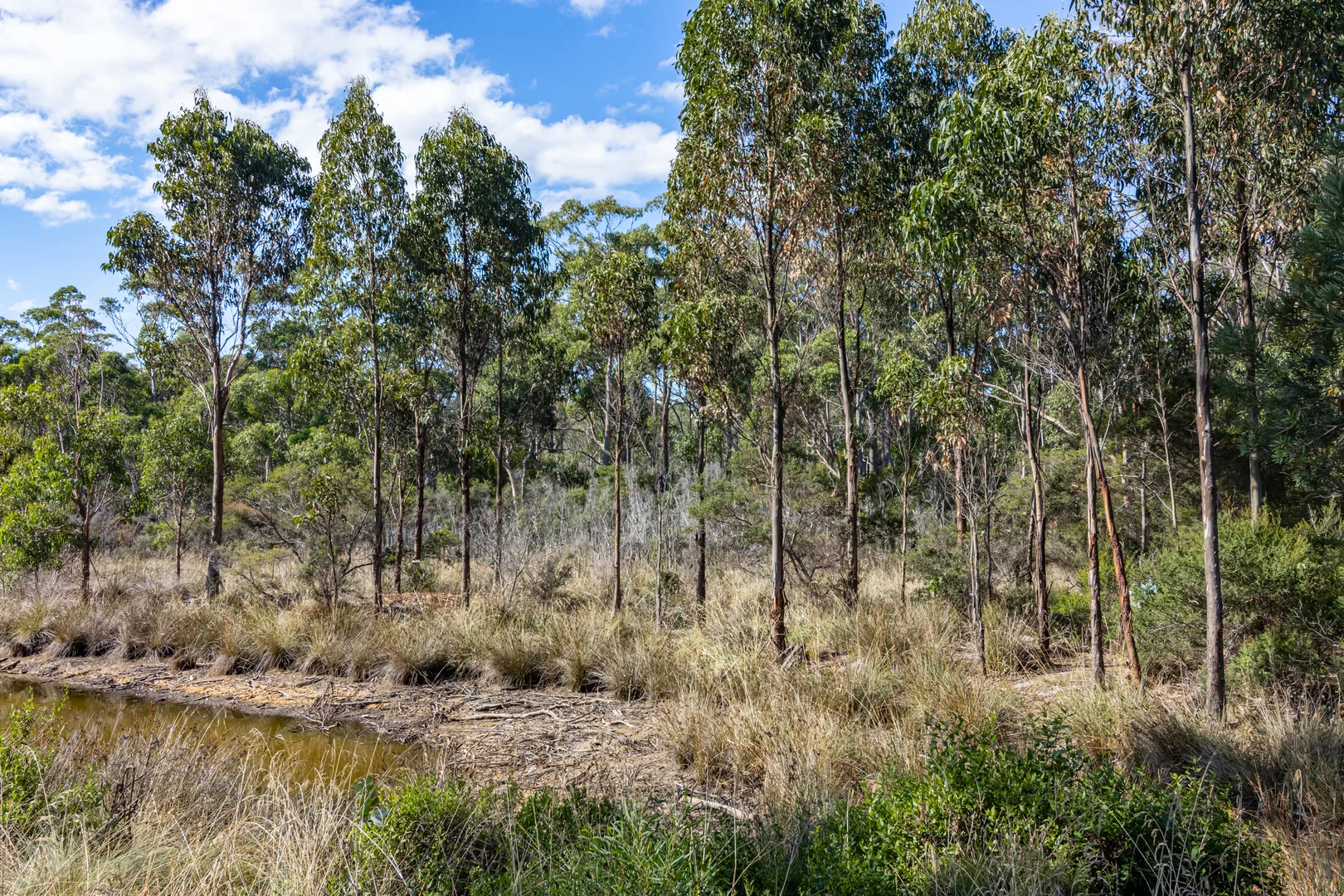 Additional image 8 of Eggs And Bacon Bay TAS 7112