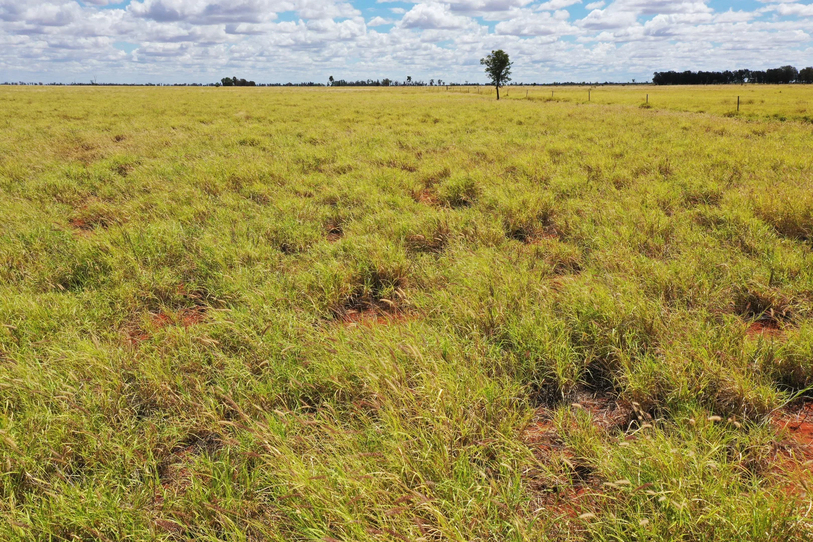 Additional image 10 of 13724 Mitchell - St George Rd, St George QLD 4487