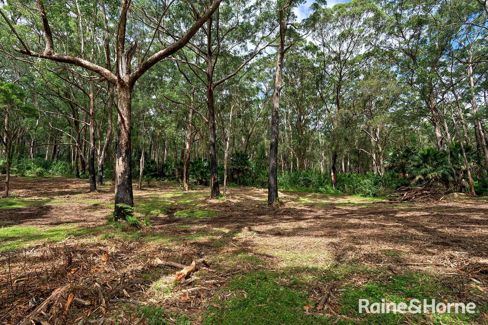 Additional image 11 of Lot 1 Selbys Road, Budgong NSW 2577
