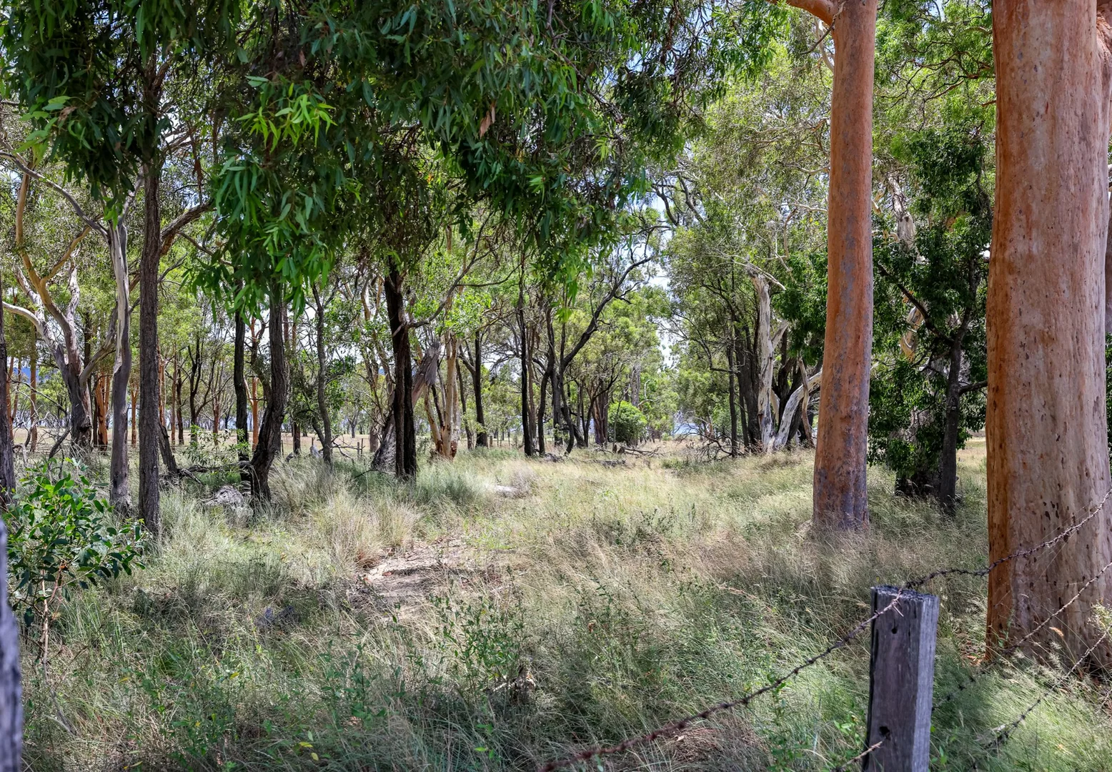 Additional image 20 of Lot 1 Saddledam Road, Leslie Dam QLD 4370