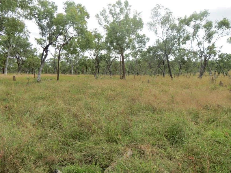 Additional image 32 of Van Lee Station, Mount Surprise QLD 4871