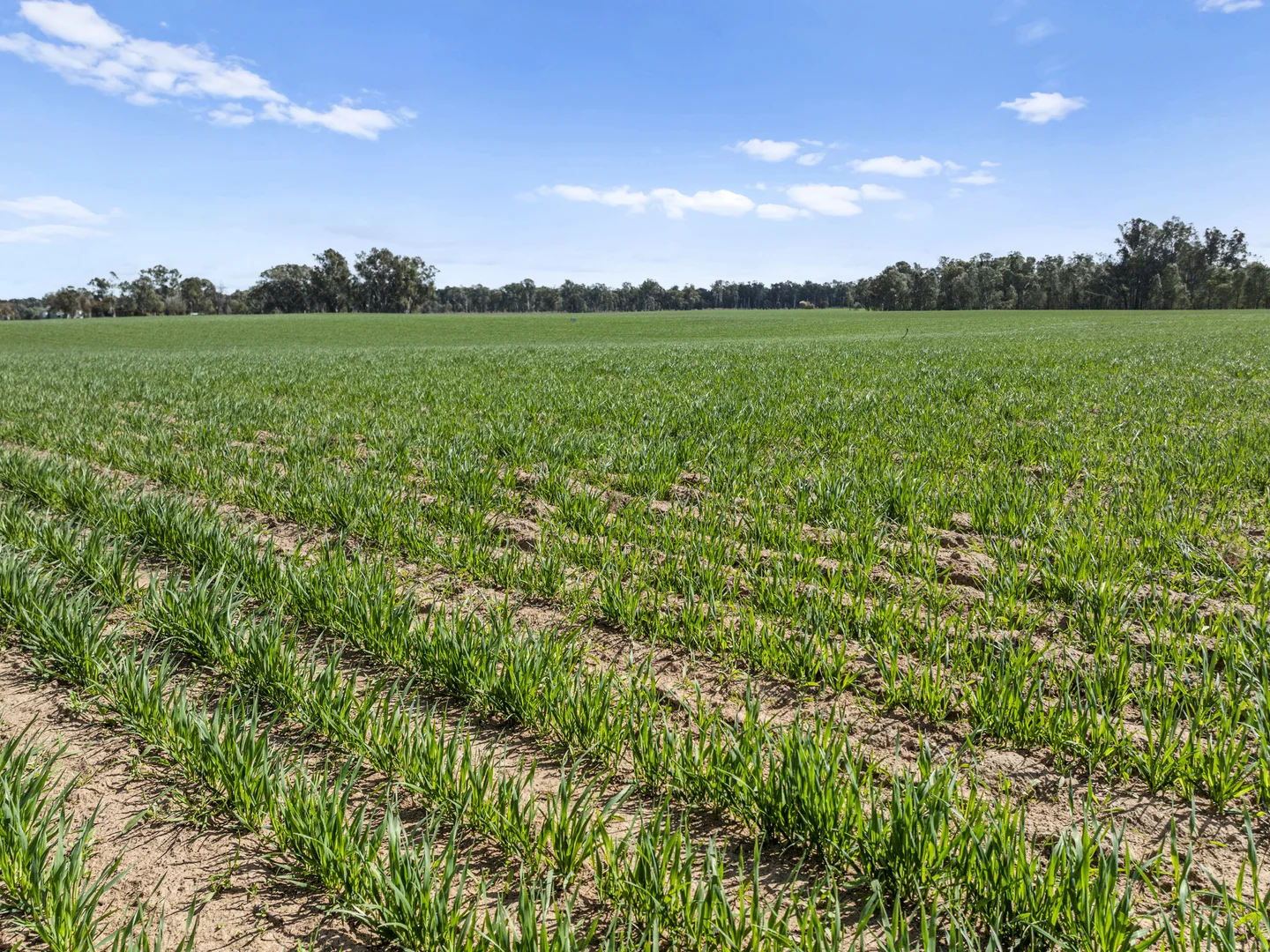 Additional image 3 of 60 Pogue Road, Toolamba VIC 3614