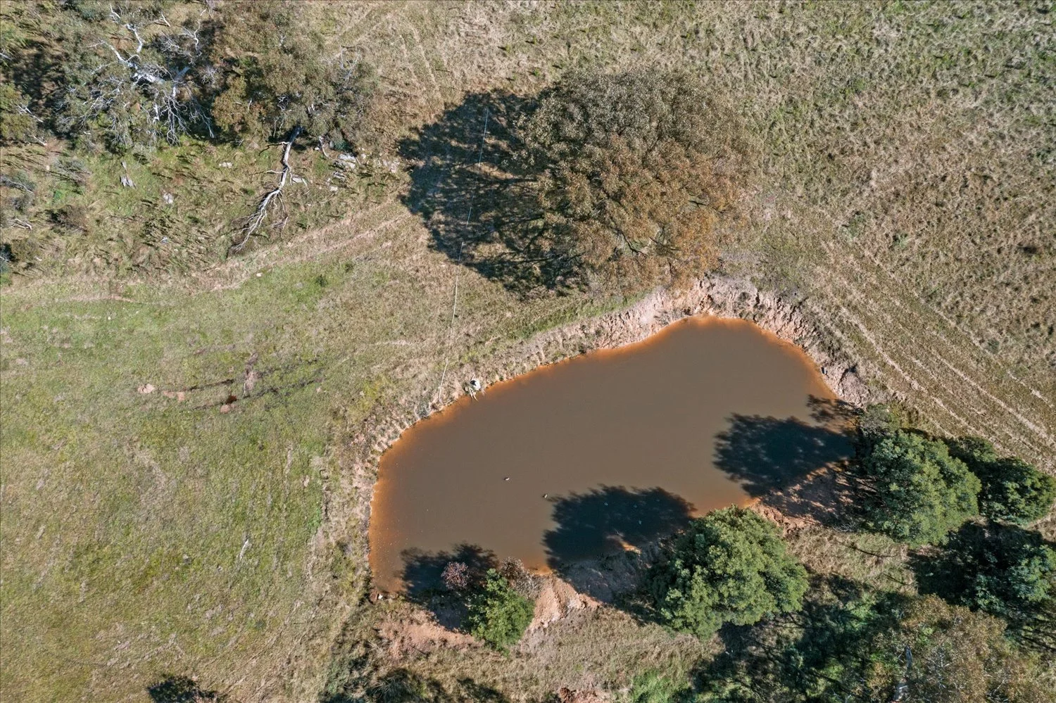 Additional image 44 of 134 Lakeview Road, Tarago NSW 2580