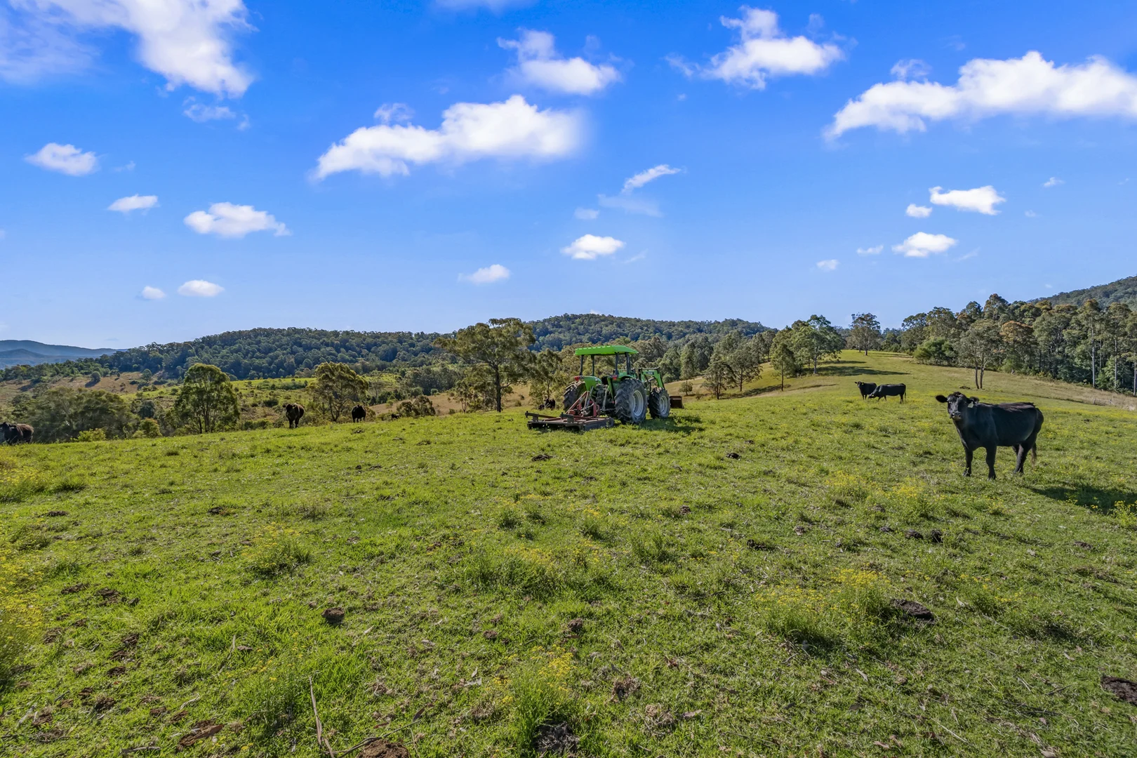 Additional image 3 of 345 Glen Road, Craven NSW 2422