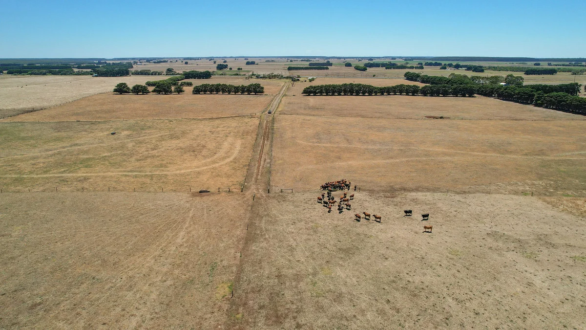 Additional image 28 of 4577 Princes Highway, Yambuk VIC 3285