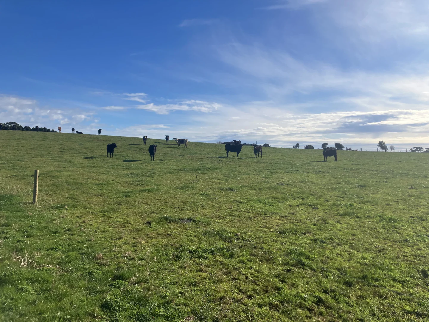 Additional image 7 of 511 Backline Road, Forest TAS 7330