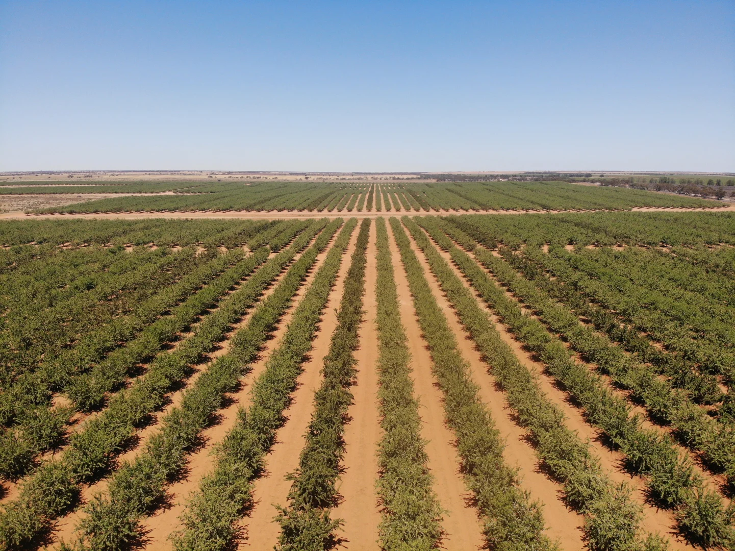 Additional image 5 of 971 Wilga Road, Red Cliffs VIC 3496