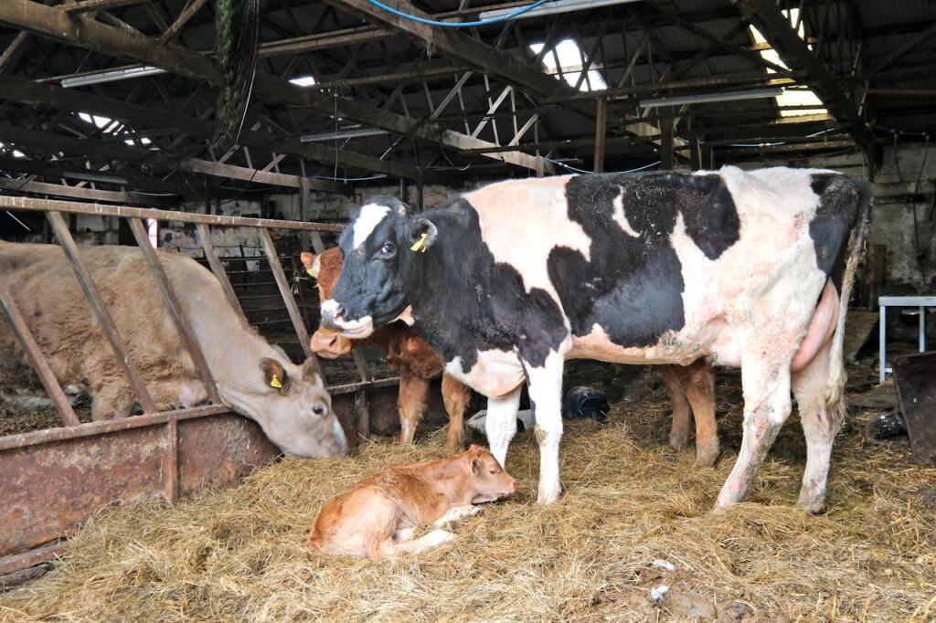 Additional image 13 of Upper Lynemore, Keith, AB55 5PT