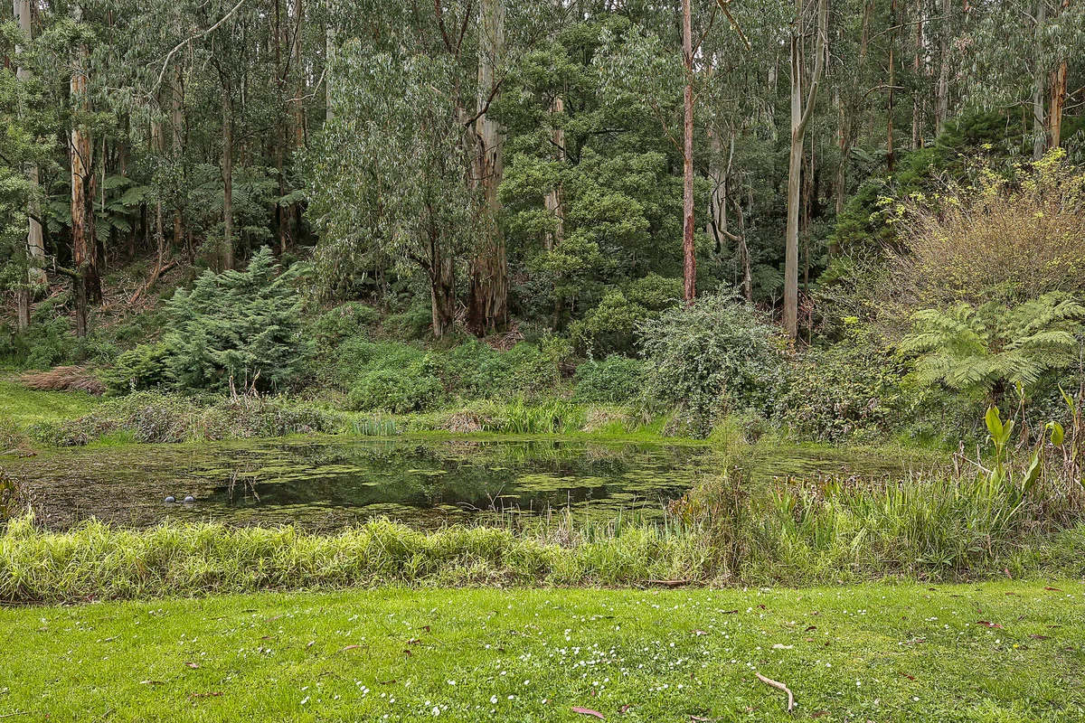 Additional image 23 of 3360 Colac-Lavers Hill Road, Ferguson VIC 3237