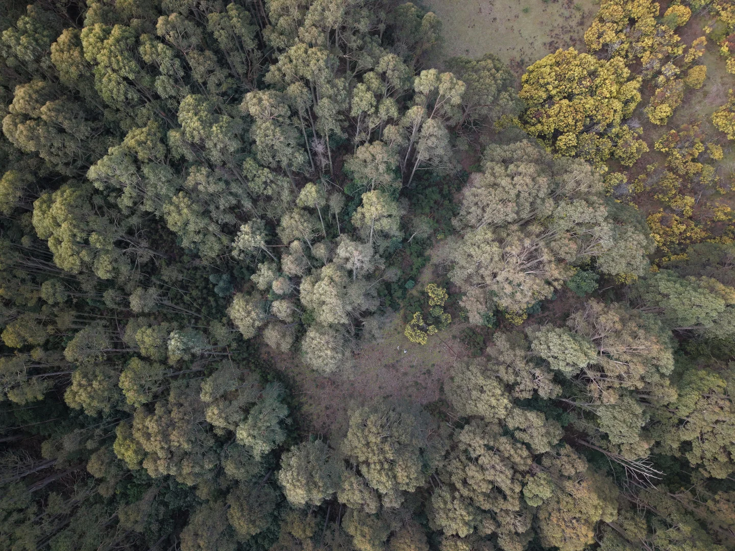 Additional image 2 of Lot 1 Mountains Road, Cherokee VIC 3434