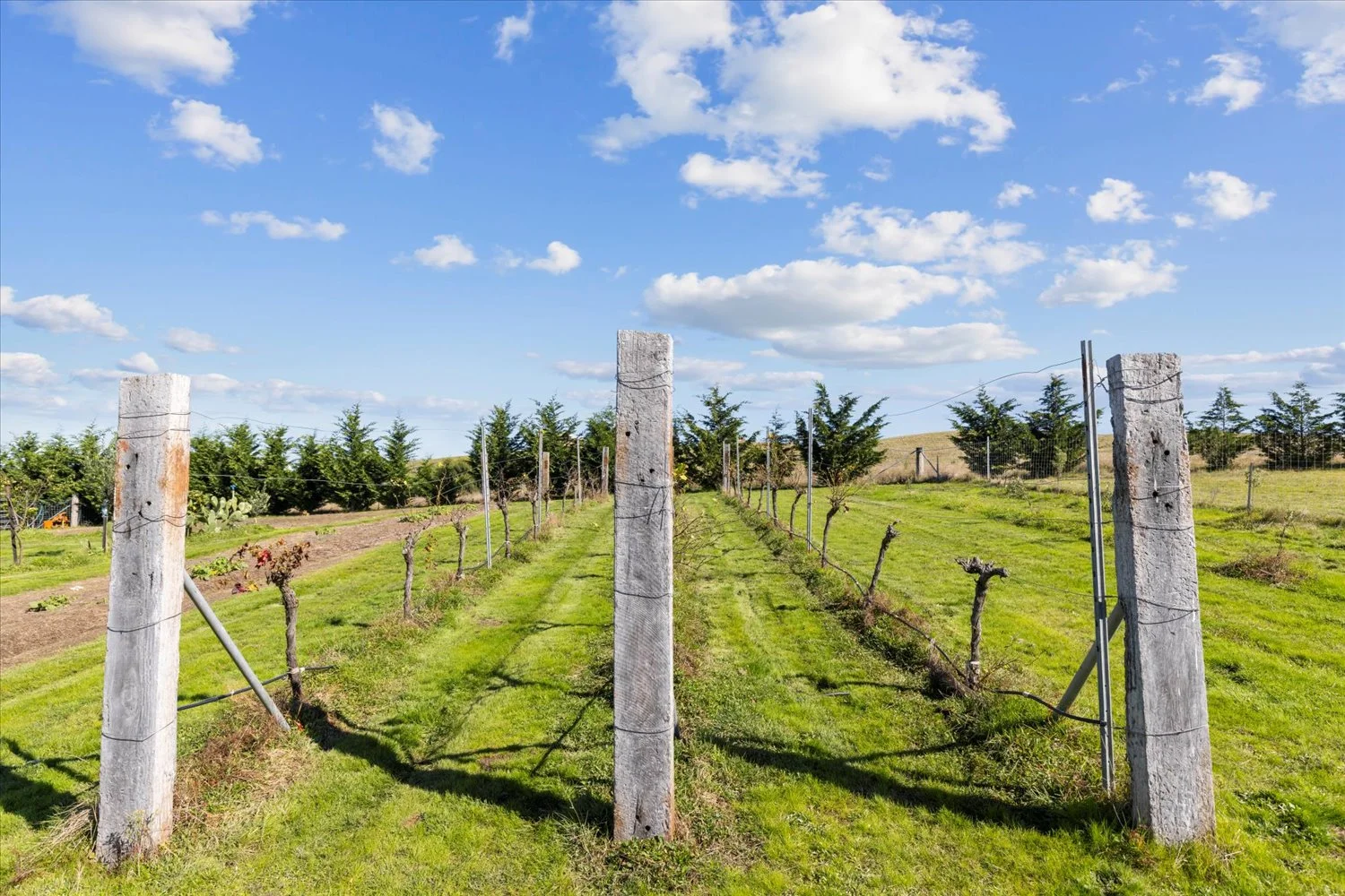 Additional image 4 of 134 Lakeview Road, Tarago NSW 2580