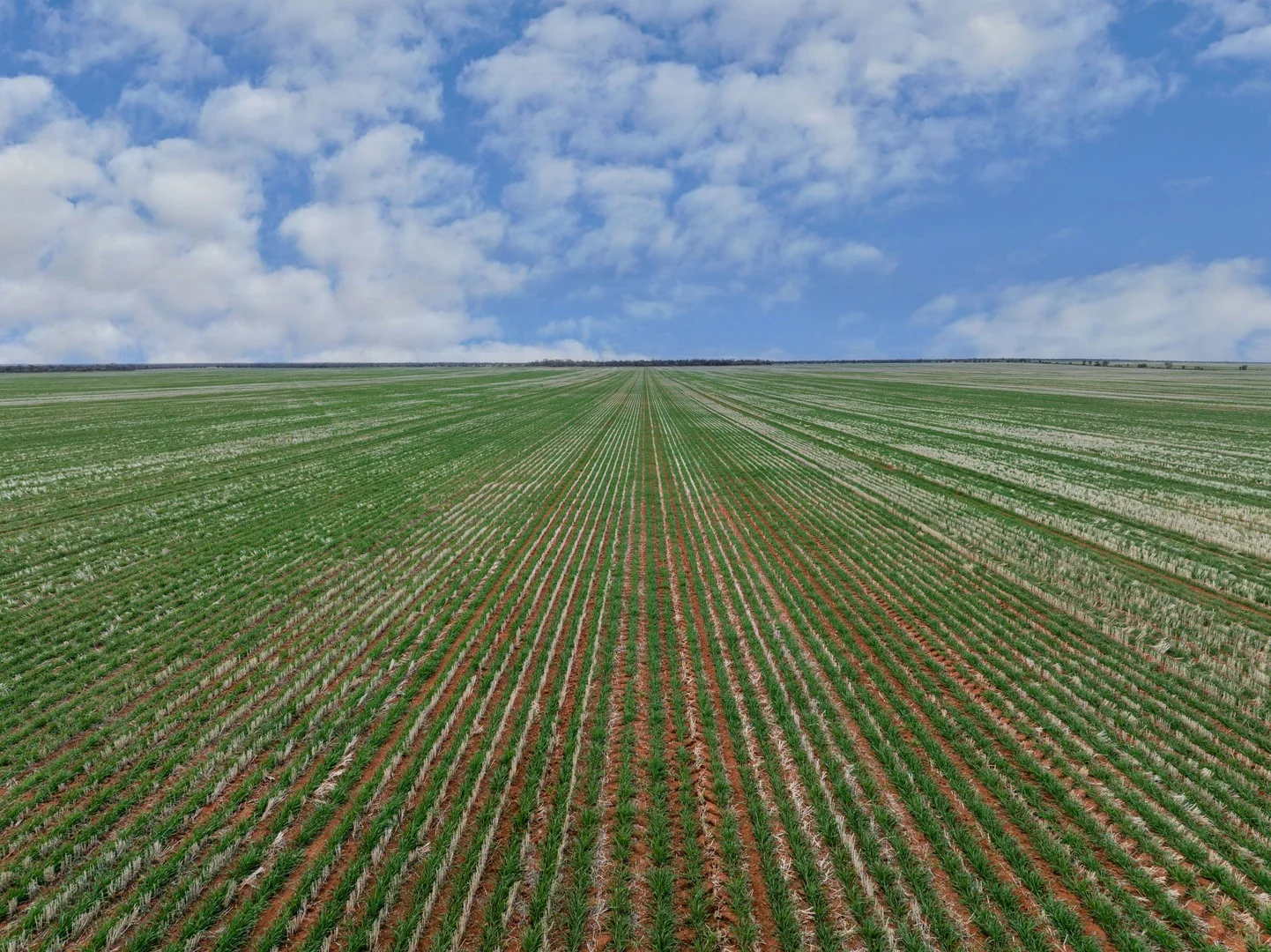 2423 Petro Mail Road, Arumpo NSW 2715