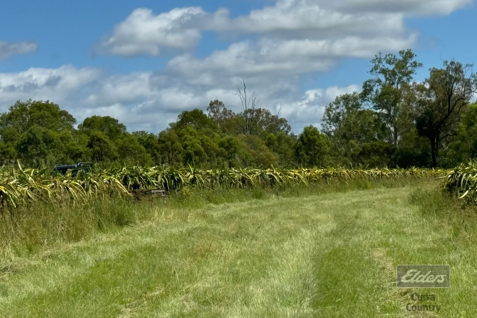 Additional image 11 of 288 Blowers Road, Munna Creek QLD 4570