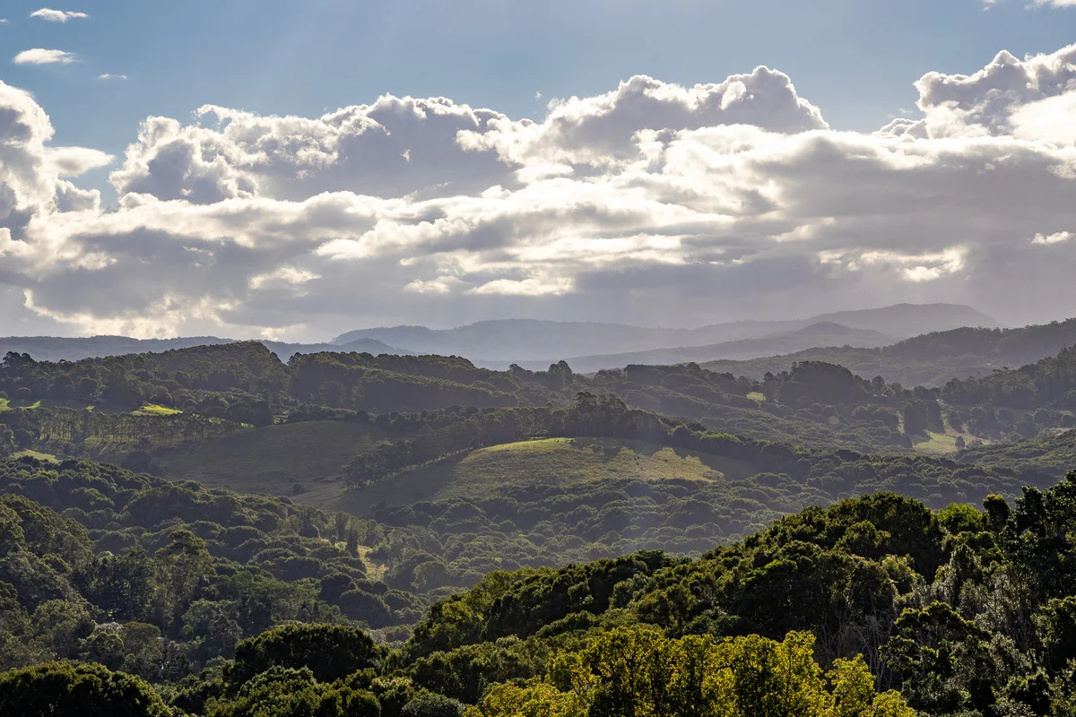 Additional image 13 of 400 Coorabell Road, Coorabell NSW 2479