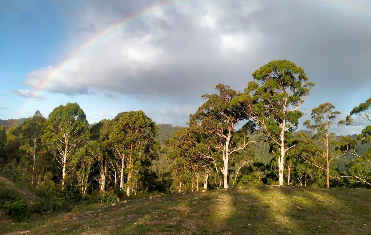Somerset TAS 7322 photo 3