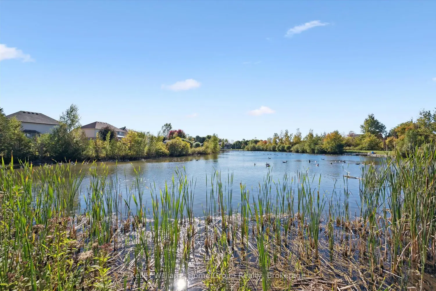 Additional image 14 of 568 Black Street