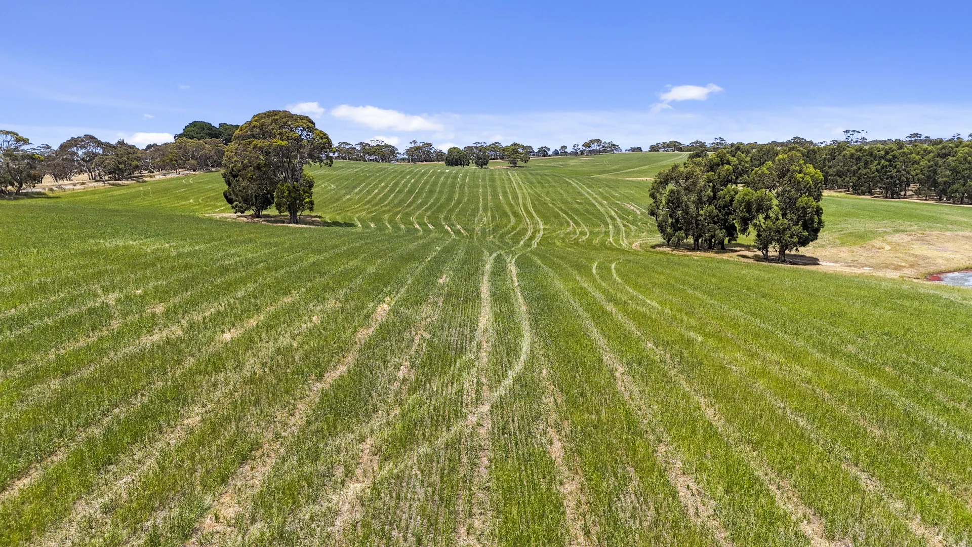 Additional image 16 of 228 Hutchinson Road, Hindmarsh Valley SA 5211
