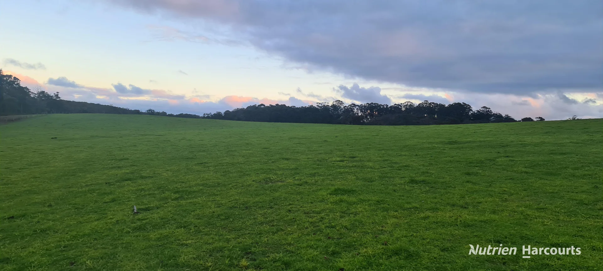 Additional image 13 of 526 Board Road, Kordabup WA 6333