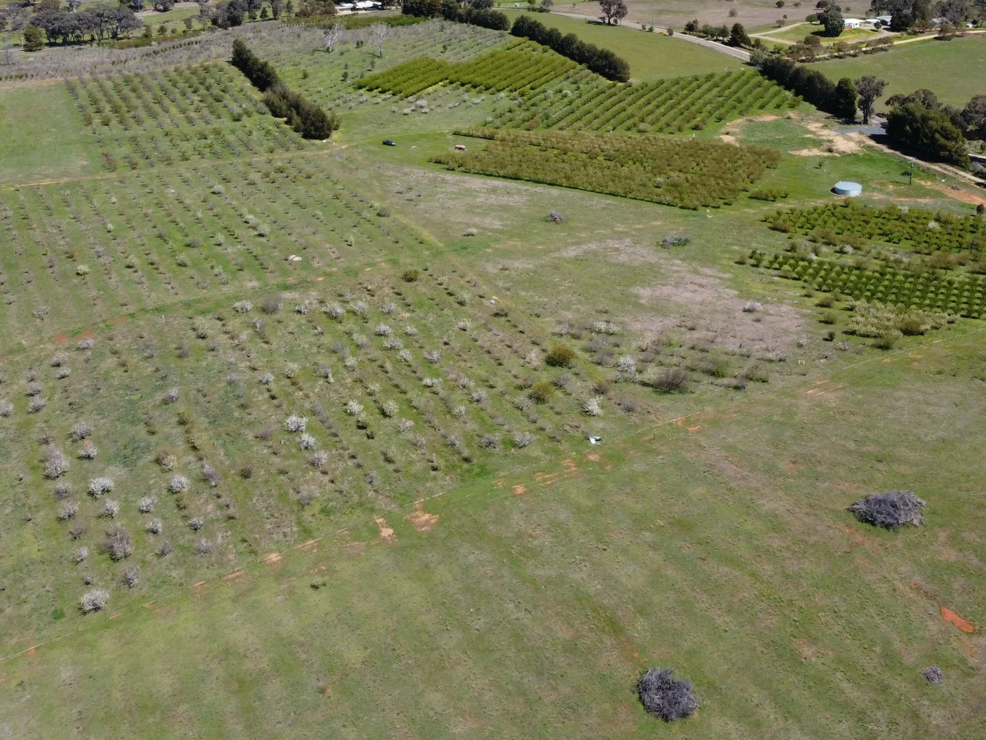 Additional image 4 of 264 Scenic Road, Young NSW 2594