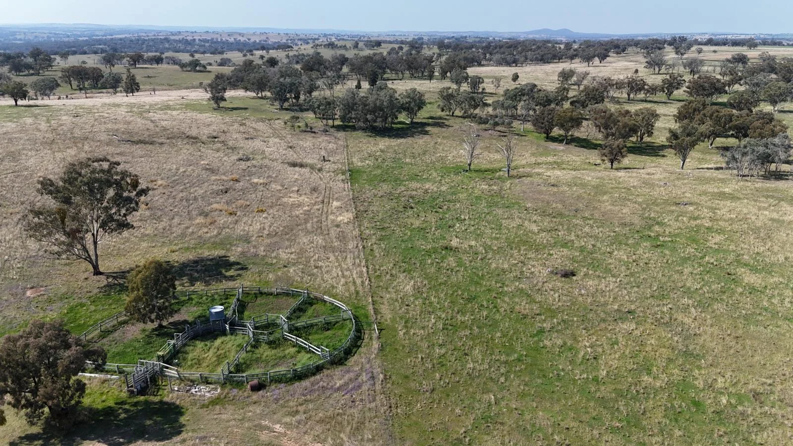 Additional image 2 of "Coolendoon" 810 The Pocket Road, Bukkulla NSW 2360