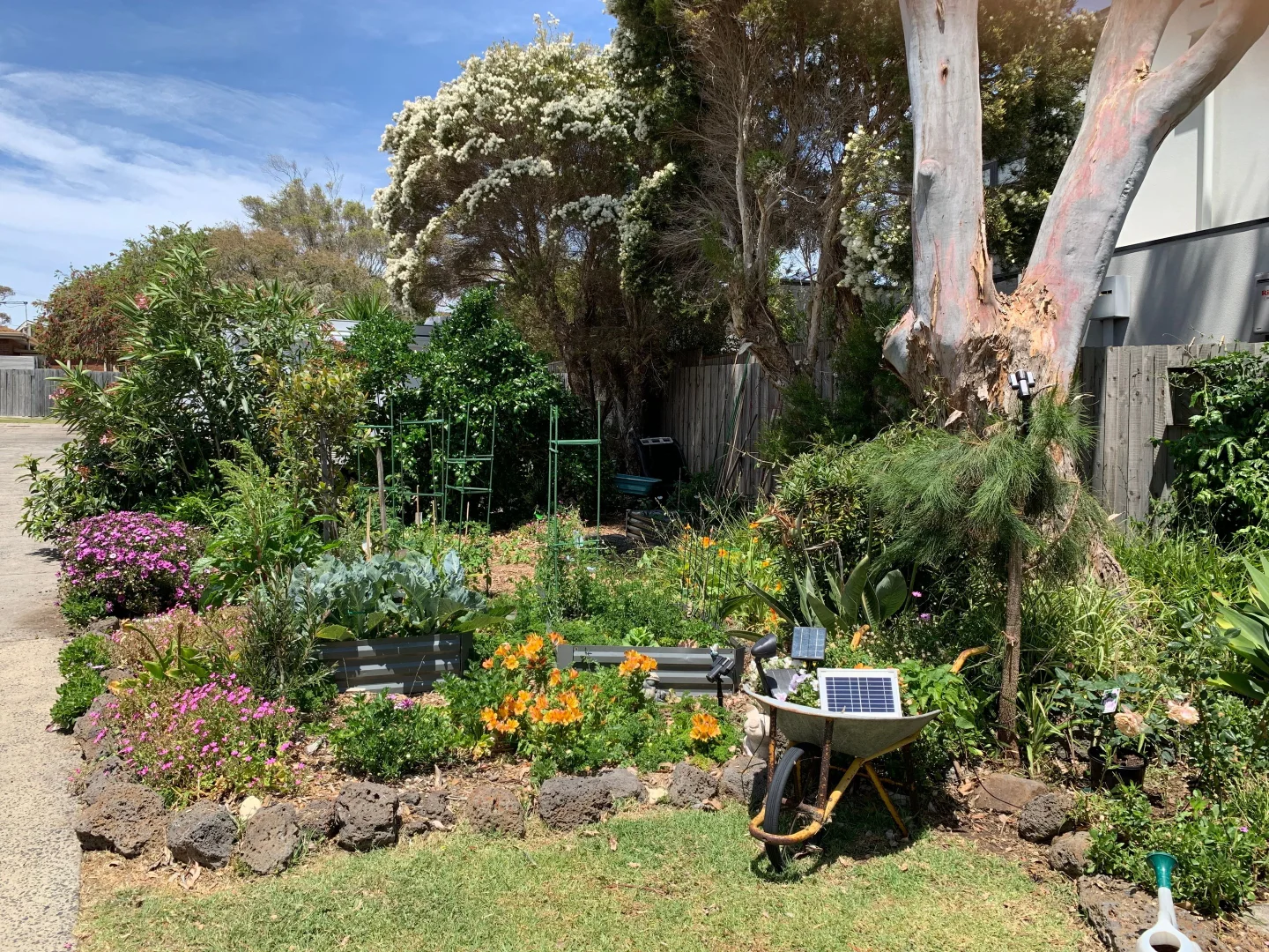 Additional image 12 of 3/16 Nelson Street, Mornington VIC 3931