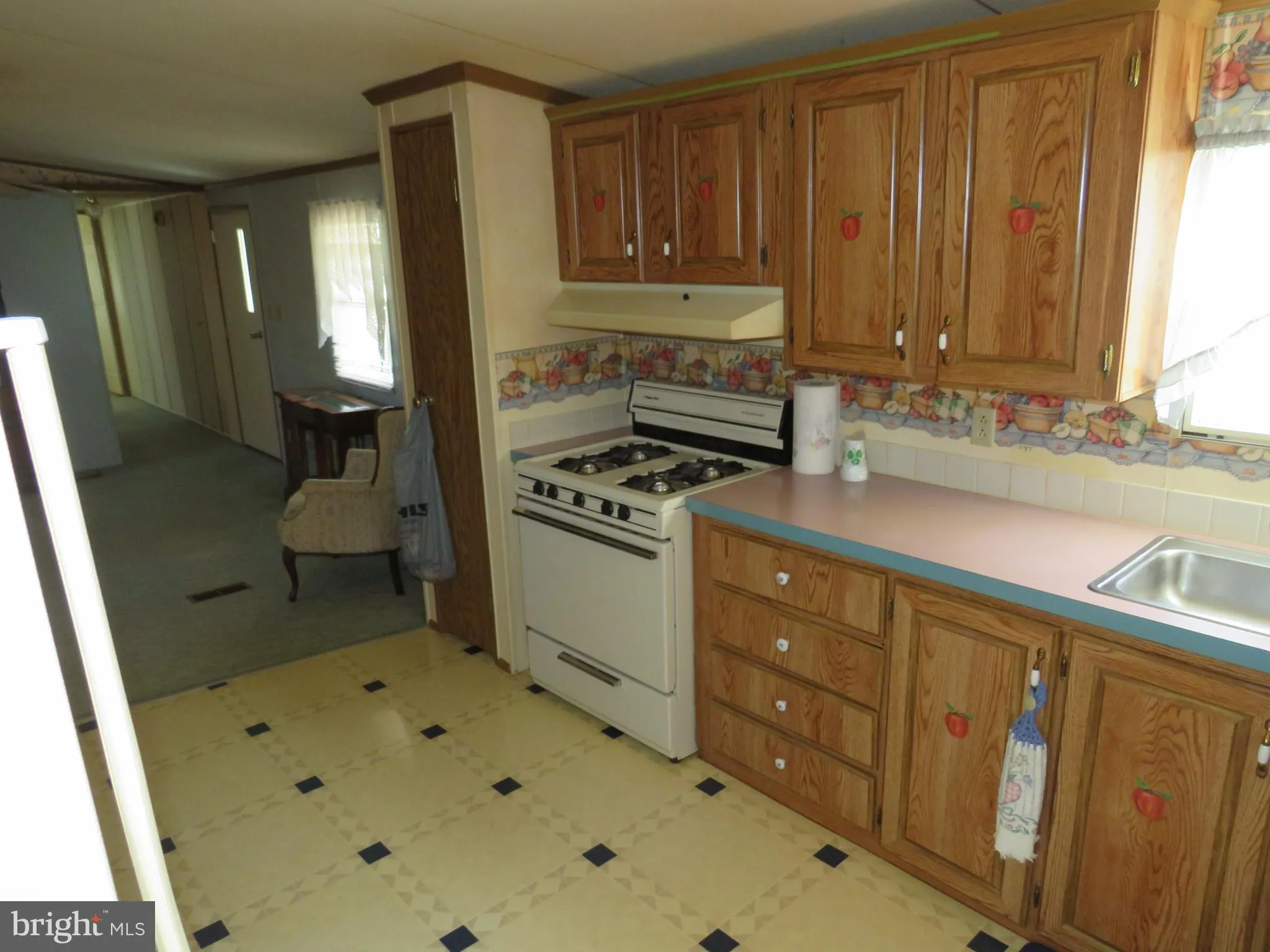 Additional image 40 of 1126 Myers Drive, Hartly, DE 19953