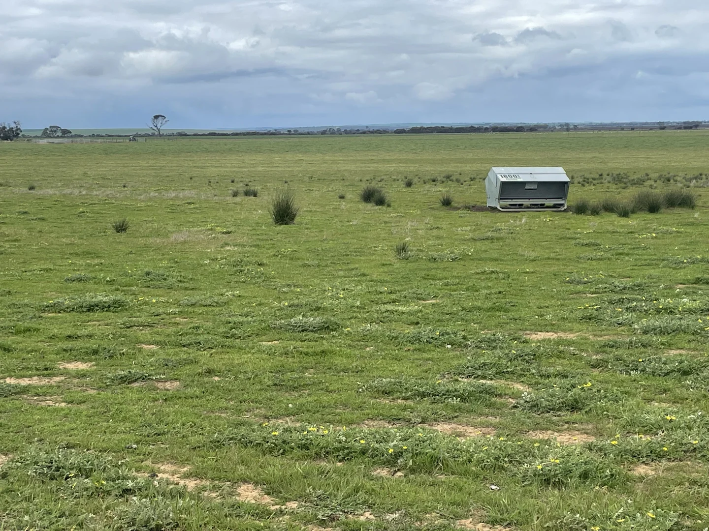 Additional image 11 of Quairading South Road, Dangin WA 6383